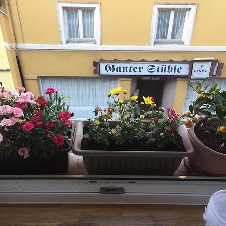 Homestay Waldshut-Tiengen Bagian luar foto