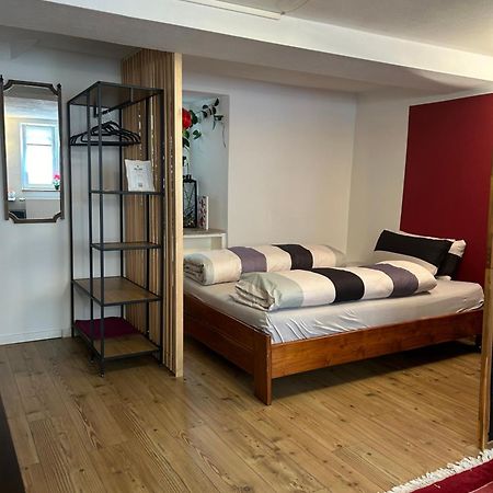 Homestay Waldshut-Tiengen Bagian luar foto