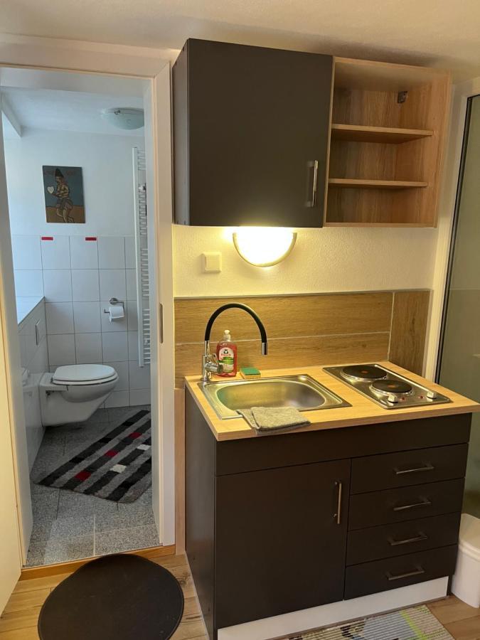 Homestay Waldshut-Tiengen Bagian luar foto