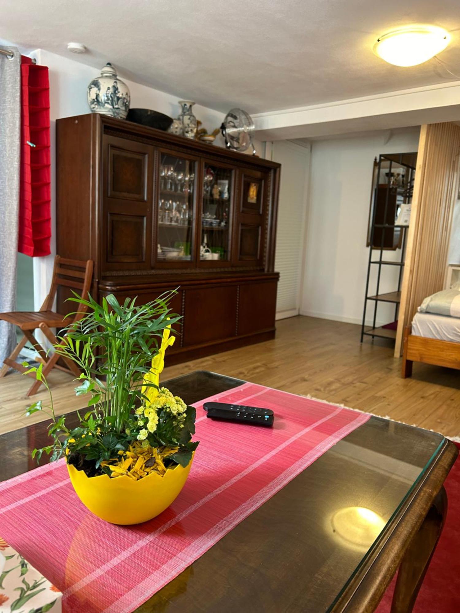 Homestay Waldshut-Tiengen Bagian luar foto